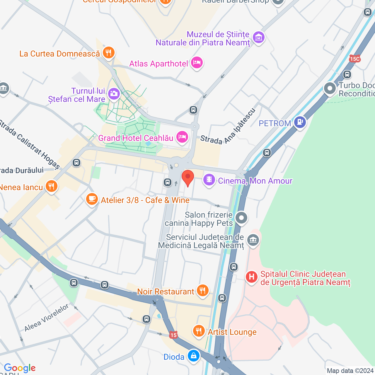 Poza harta streetview, zoom 16, adresa Piatra Neamt, Piata Stefan cel Mare, nr. 12, , judetul