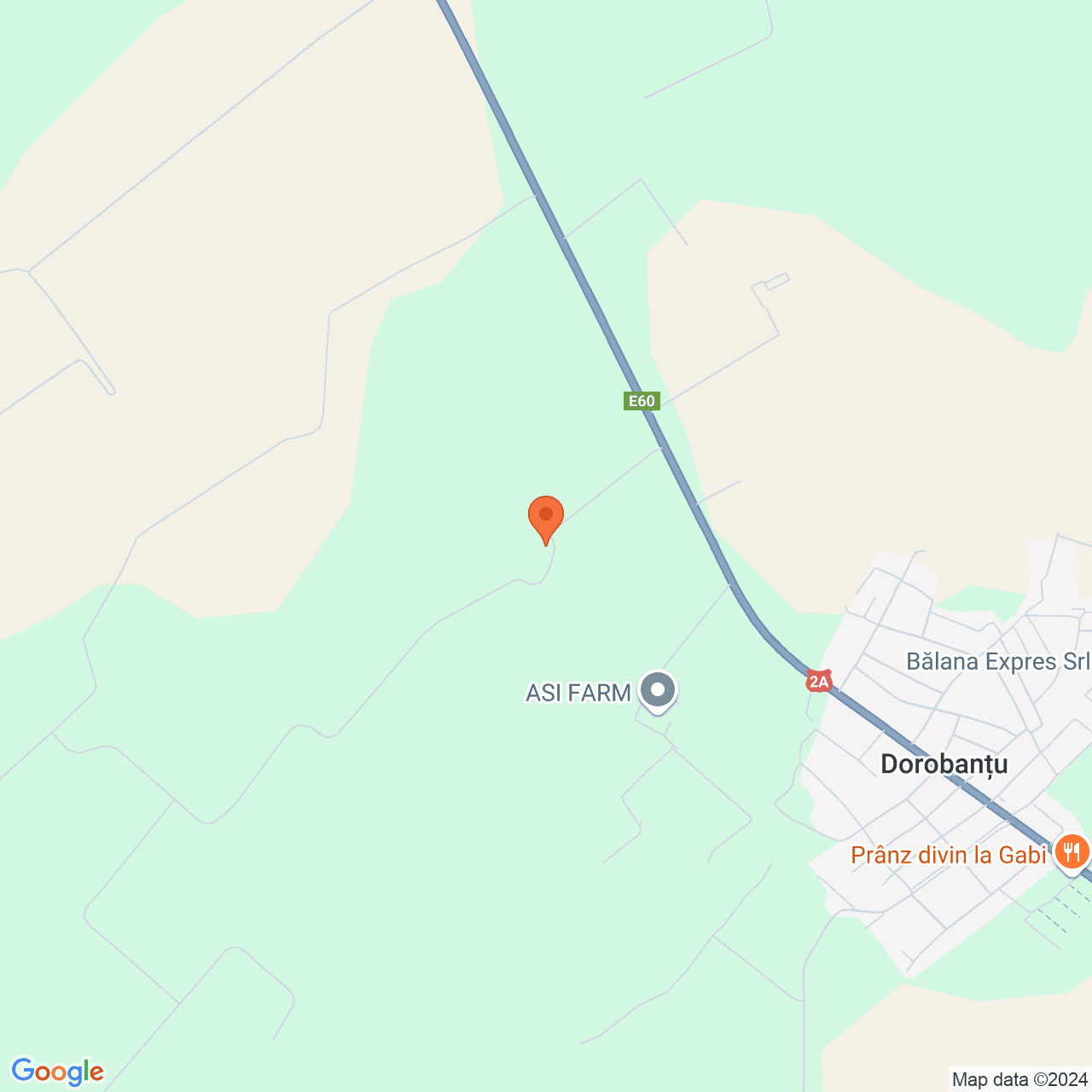 Poza harta streetview, zoom 14, adresa Dorobantu, str.General Dumitrescu nr.47, , judetul