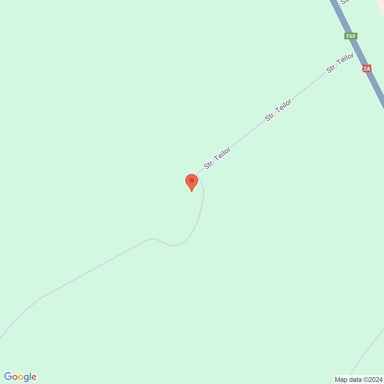 Poza harta streetview, zoom 16, adresa Dorobantu, str.General Dumitrescu nr.47, , judetul