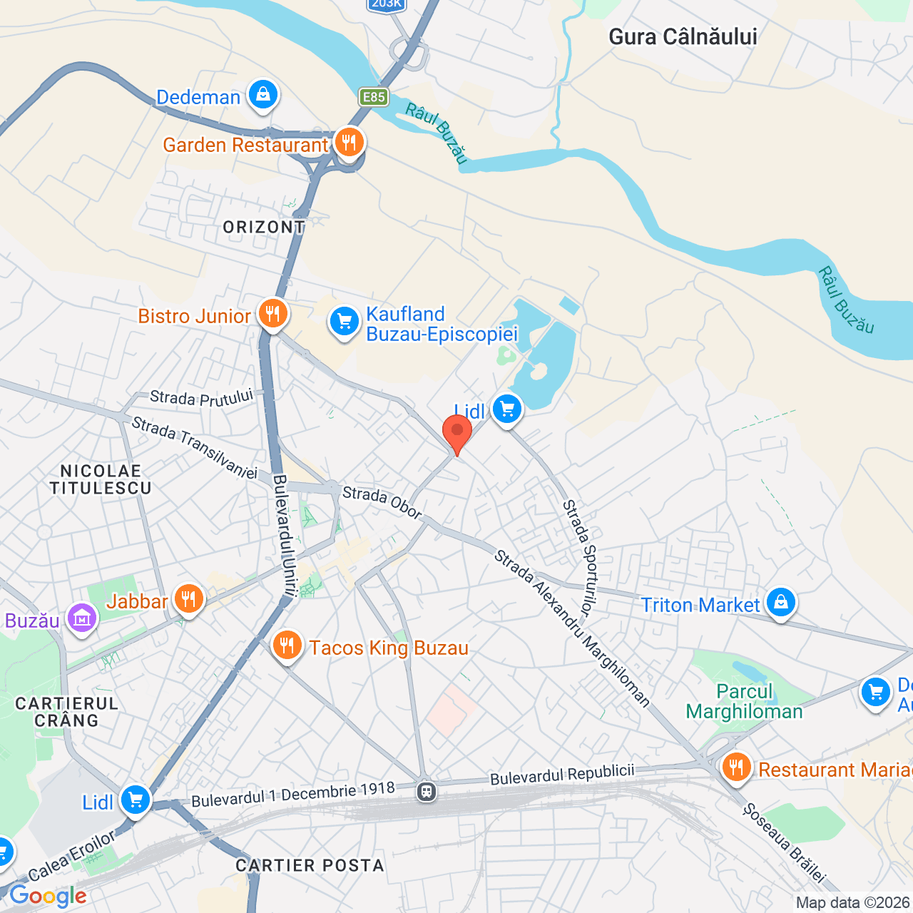 Poza harta streetview, zoom 14, adresa Buzau, strada Iazul Morilor nr. 8A, , judetul