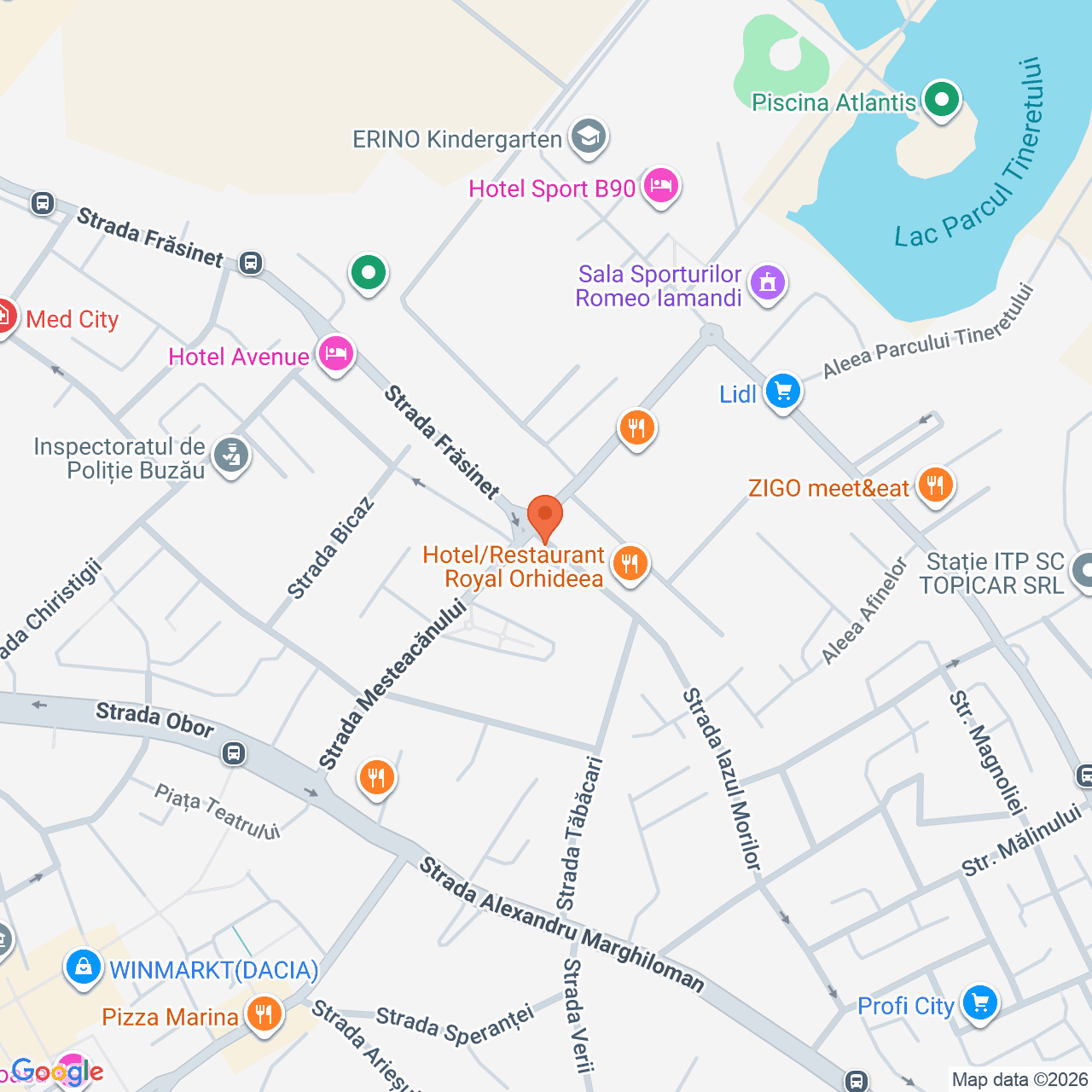 Poza harta streetview, zoom 16, adresa Buzau, strada Iazul Morilor nr. 8A, , judetul