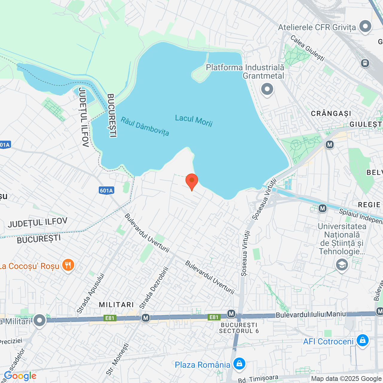 Poza harta streetview, zoom 14, adresa str. Dâmbovița nr. 75-77 sector 6 Bucuresti, , judetul