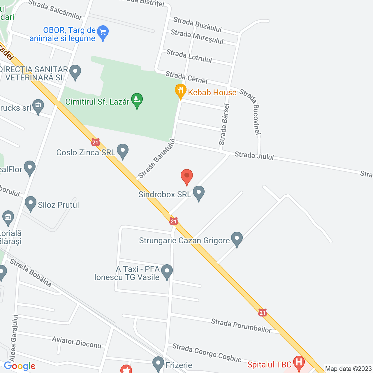 Poza harta streetview, zoom 16, adresa Prelungirea Ion Luca Caragiale, Călărași, , judetul