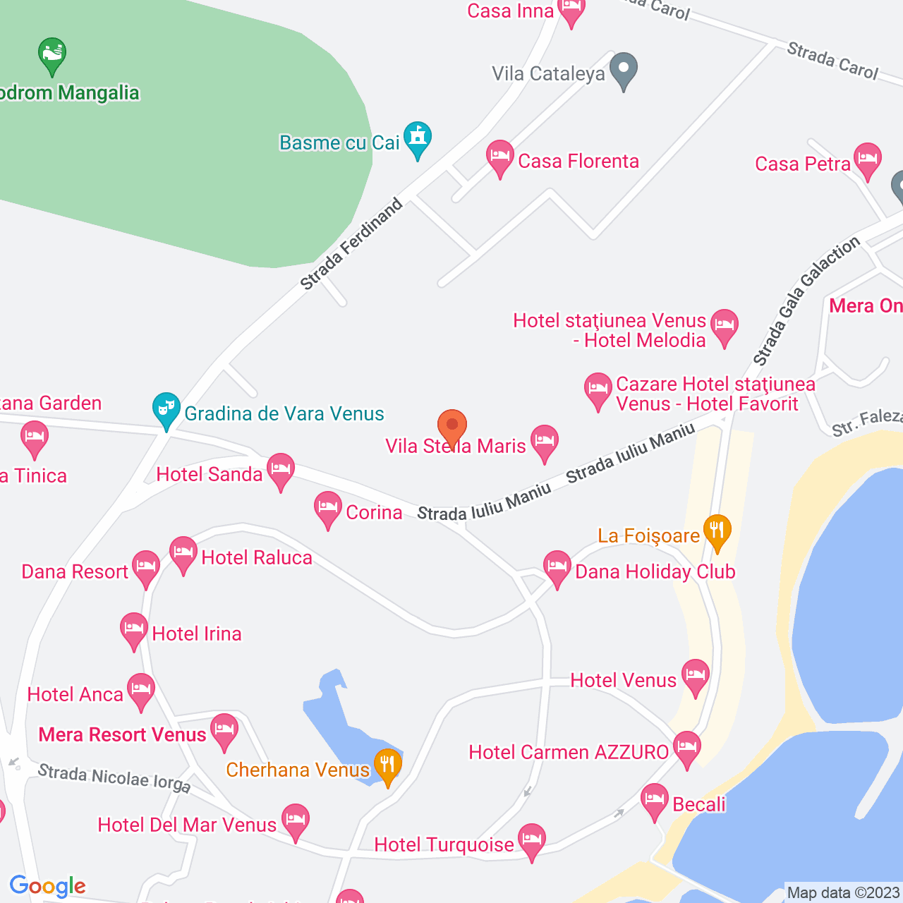 Poza harta streetview, zoom 16, adresa Venus Mangalia, , judetul