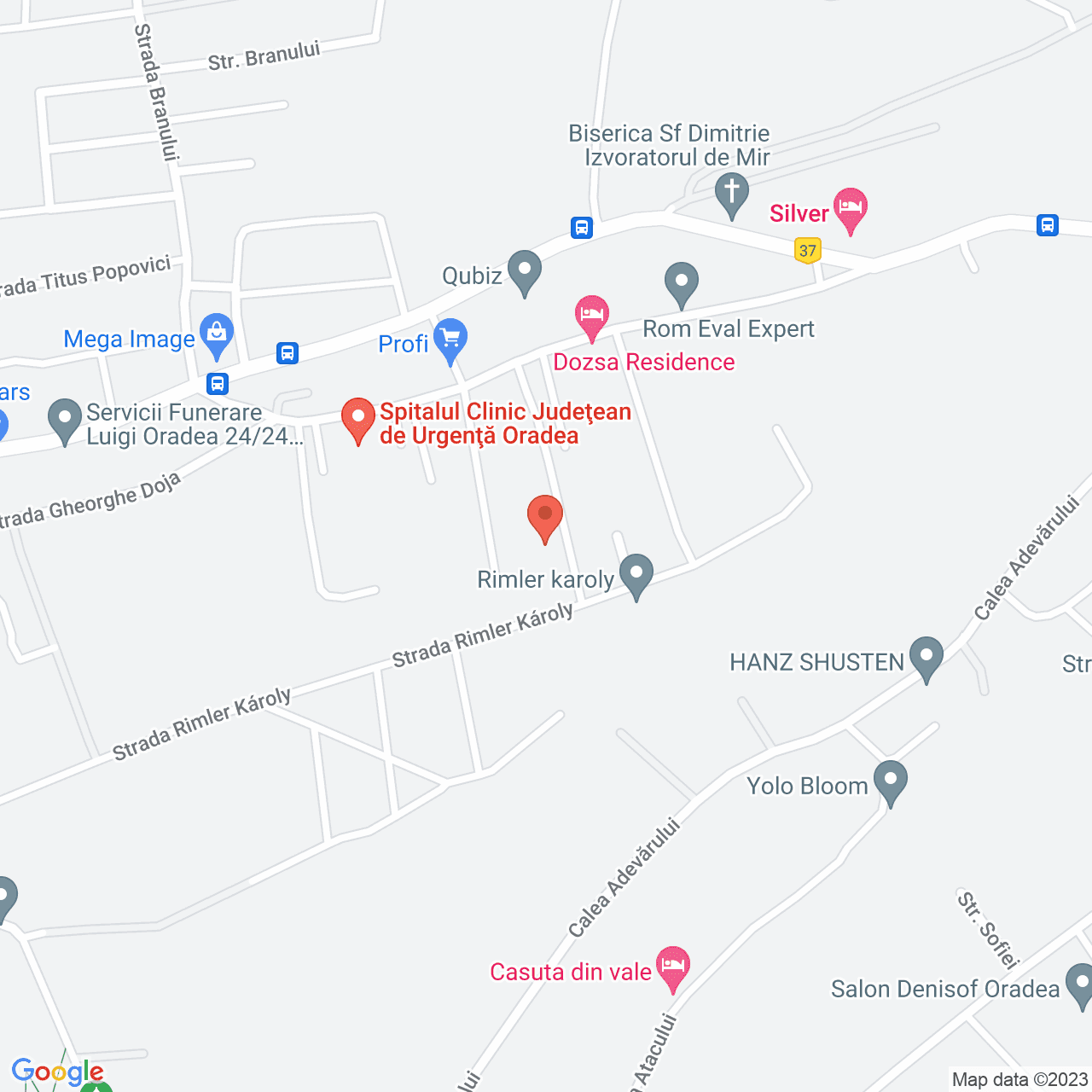 Poza harta streetview, zoom 16, adresa Oradea, str. Gheorghe Doja, f.n, , judetul