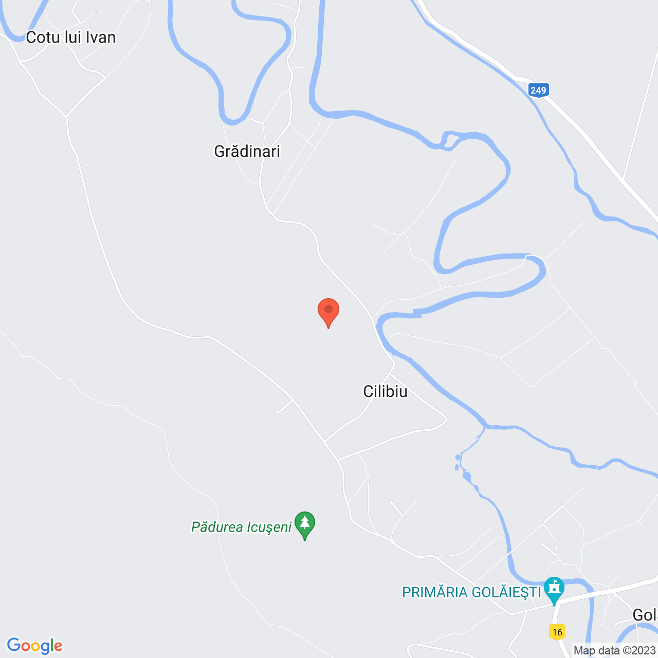 Poza harta streetview, zoom 14, adresa Golaesti, , judetul