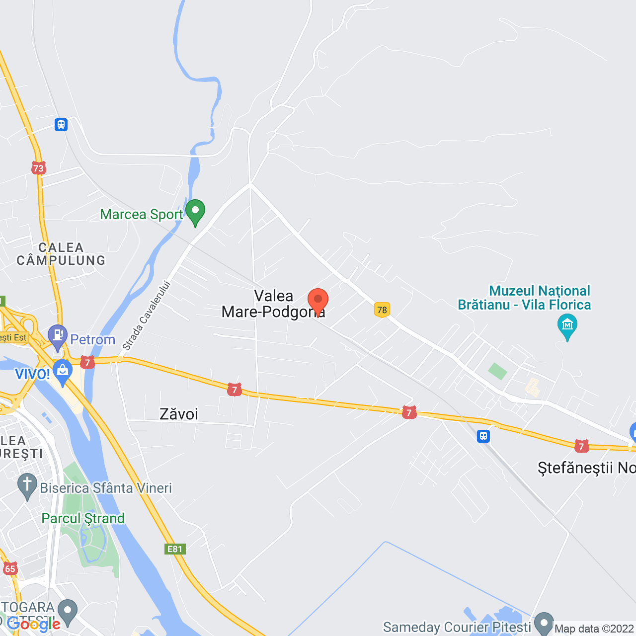 Poza harta streetview, zoom 14, adresa Valea Mare-Podgoria, judetul Arges