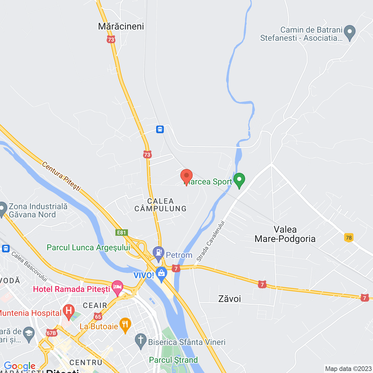 Poza harta streetview, zoom 14, adresa Paul Dicu 38 Pitesti, , judetul