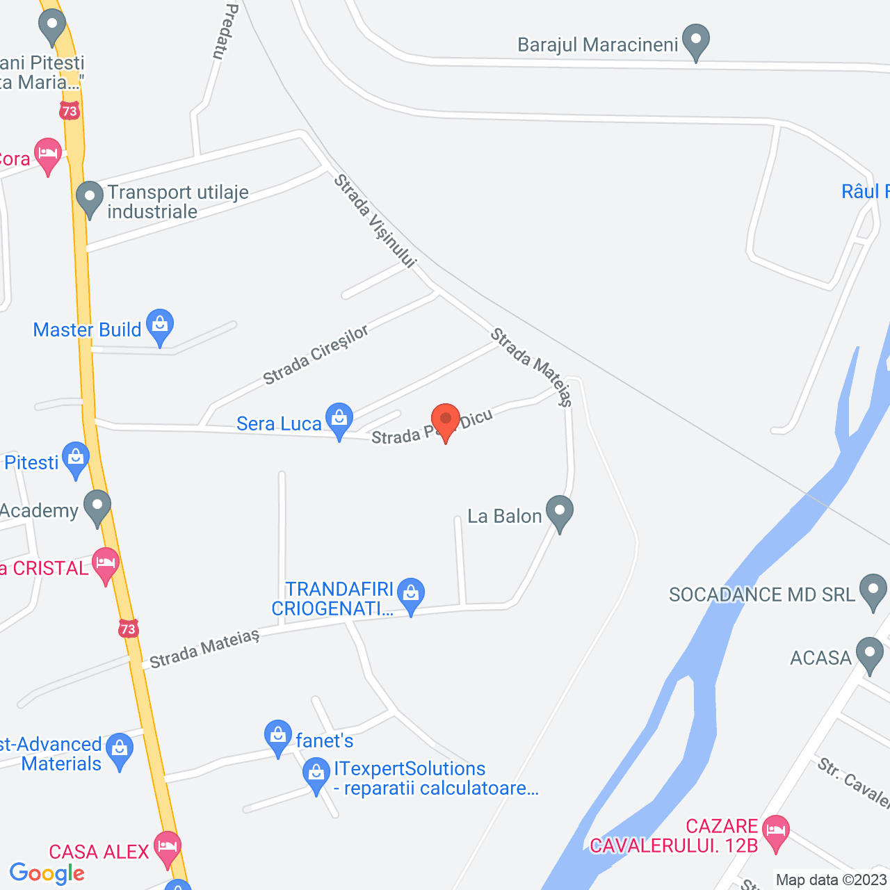 Poza harta streetview, zoom 16, adresa Paul Dicu 38 Pitesti, , judetul