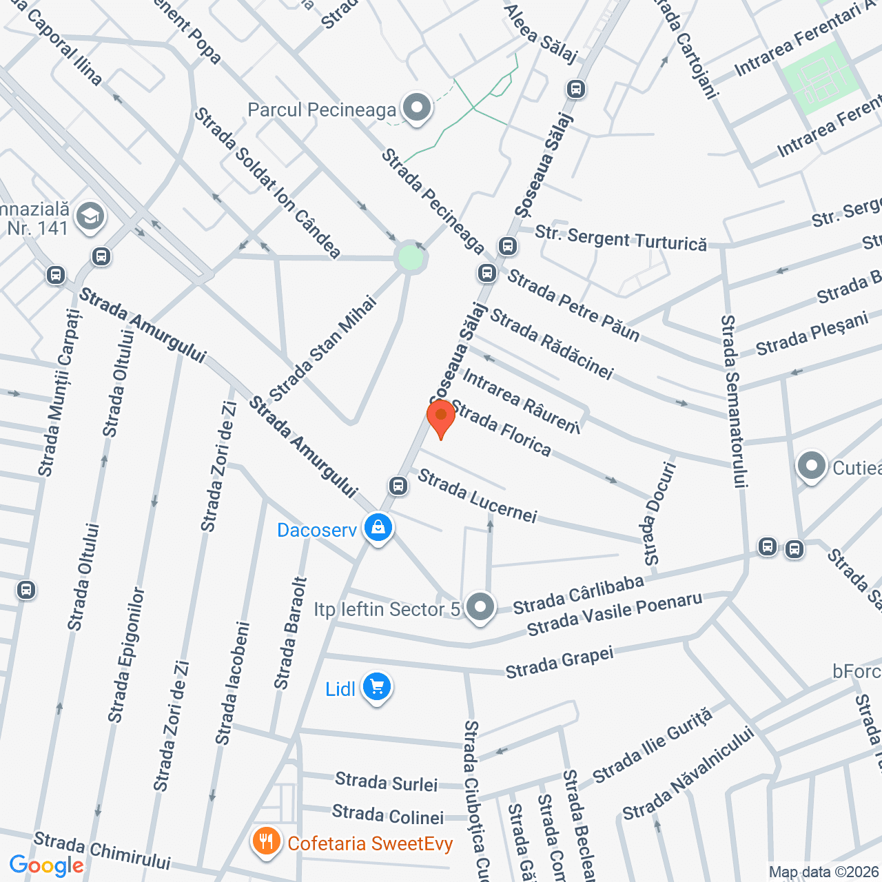 Poza harta streetview, zoom 16, adresa Bucuresti, sos. Salaj, nr.211A, , judetul