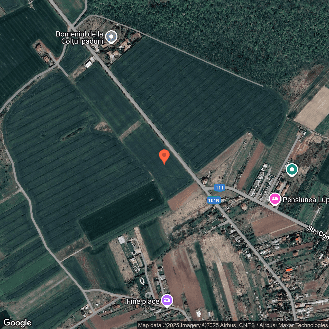 Poza harta hybrid, zoom 16, adresa Ciolpani Ilfov, , judetul