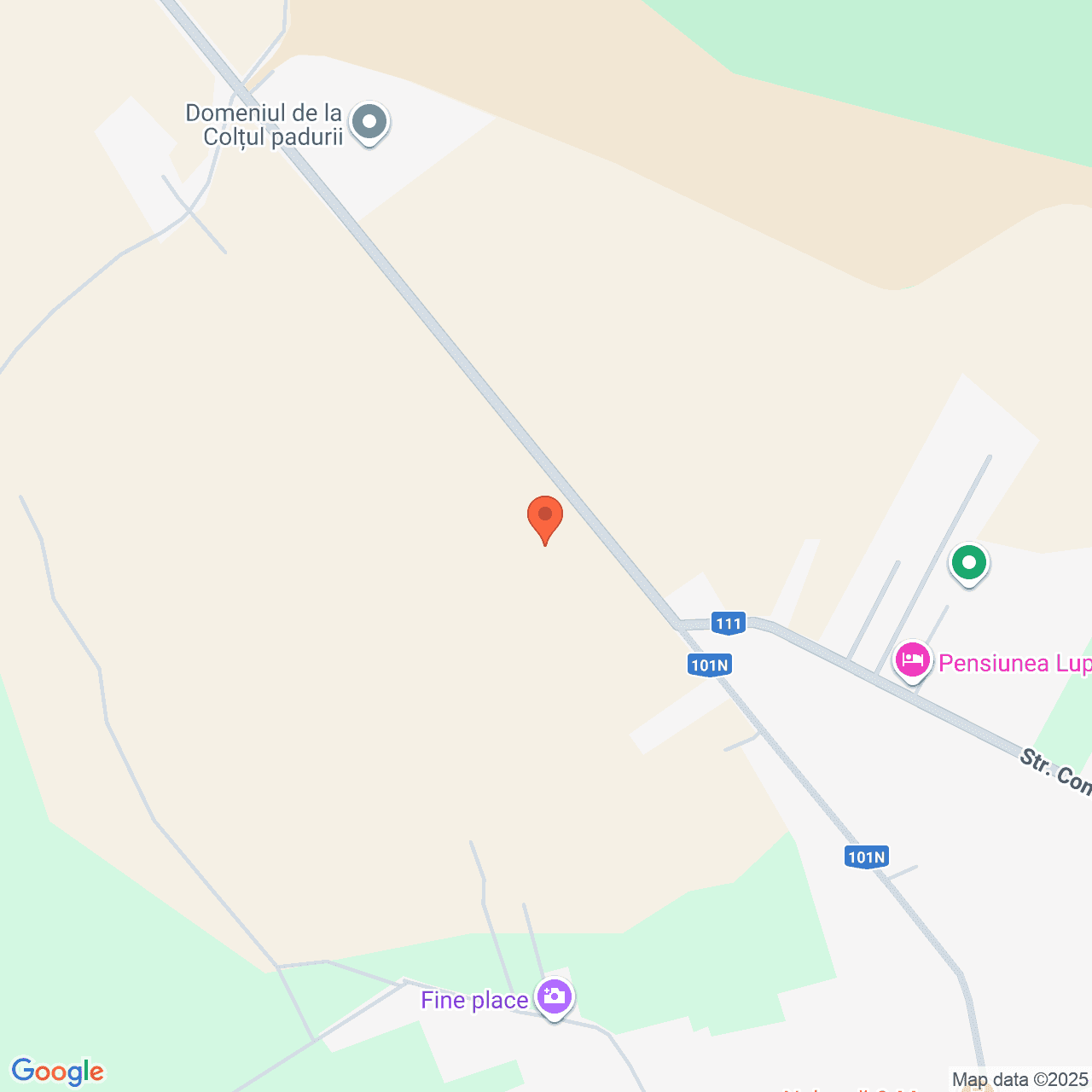 Poza harta streetview, zoom 16, adresa Ciolpani Ilfov, , judetul