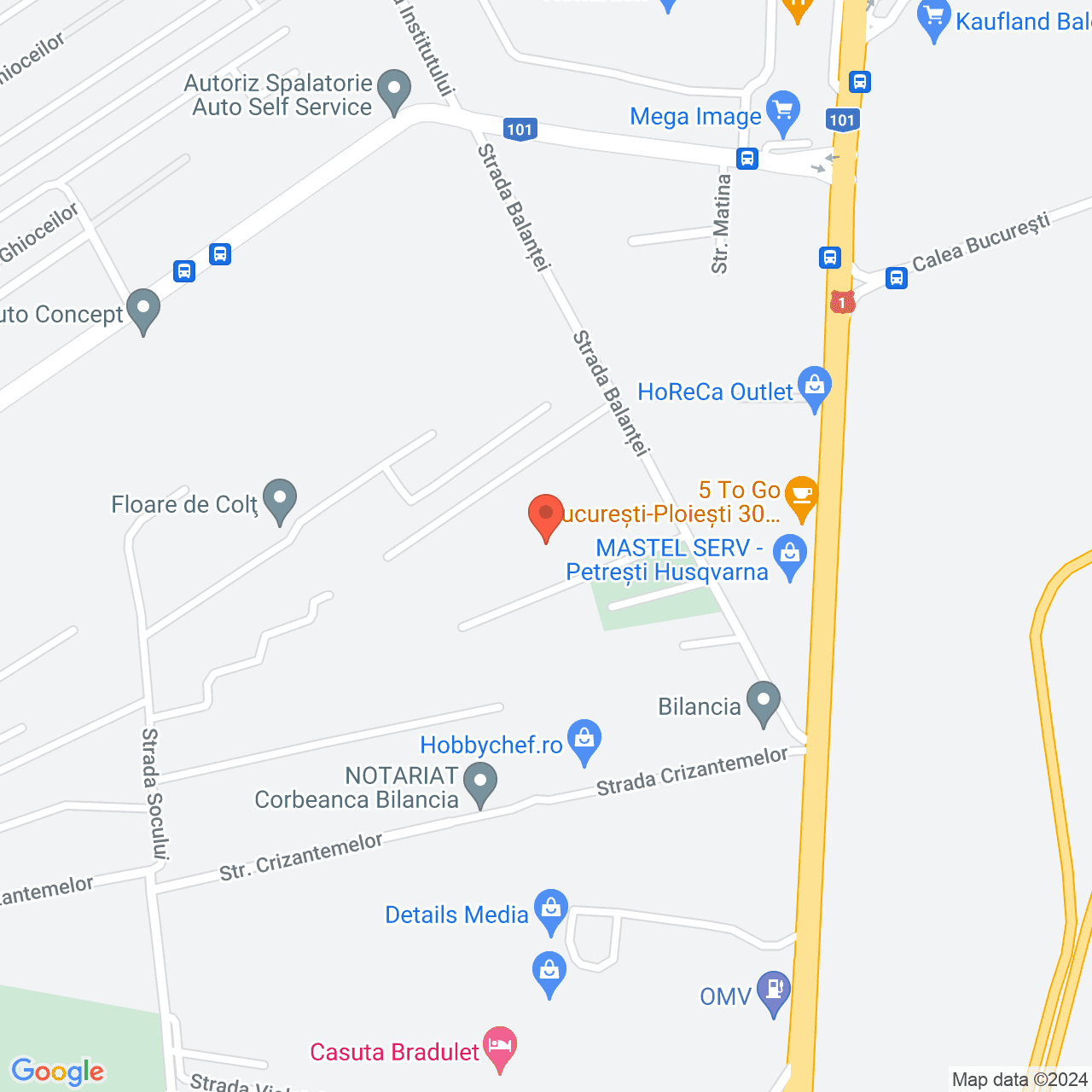 Poza harta streetview, zoom 16, adresa Petresti, str. Balantei nr.36A, , judetul