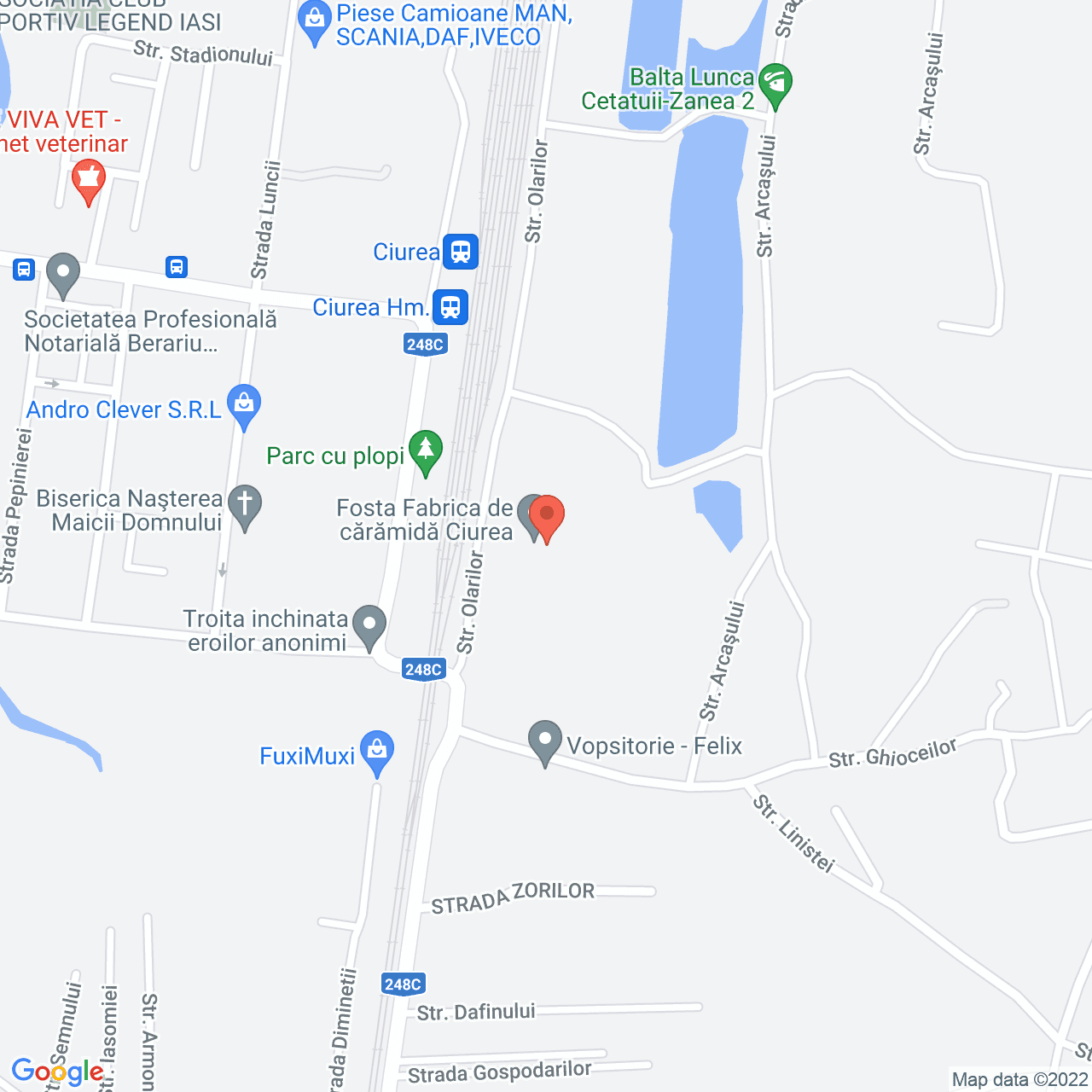 Poza harta streetview, zoom 16, adresa Lunca Cetatuii, Ciurea, judetul Iasi