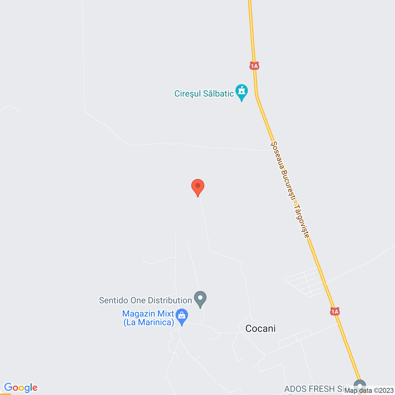 Poza harta streetview, zoom 14, adresa Crevedia, , judetul