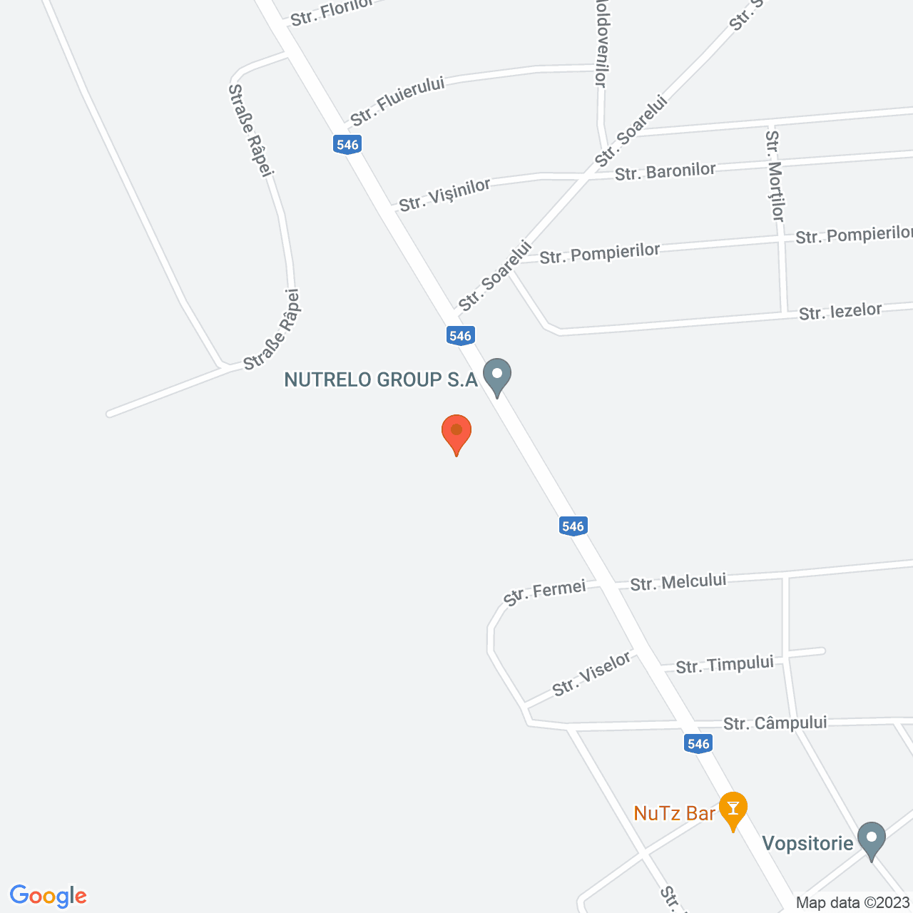 Poza harta streetview, zoom 16, adresa Lita Teleorman, , judetul