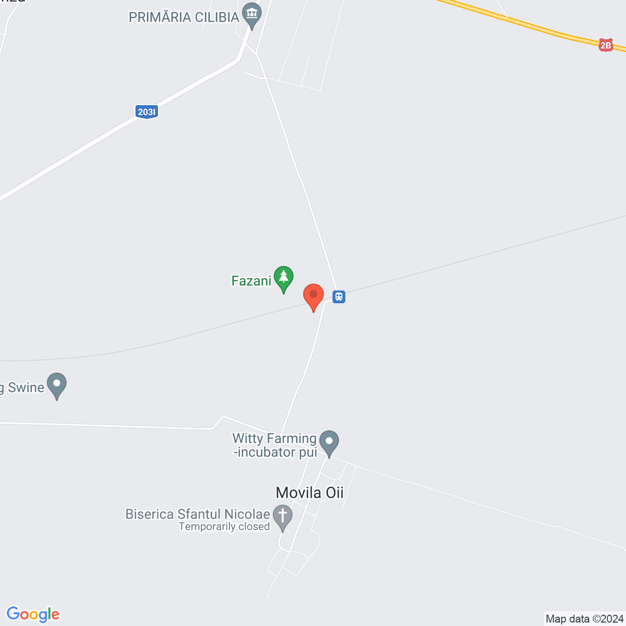 Poza harta streetview, zoom 14, adresa Cilibia Buzau, , judetul