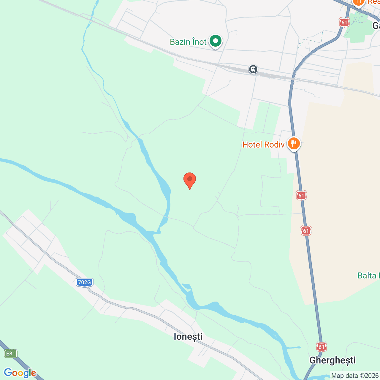 Poza harta streetview, zoom 14, adresa Gaesti, jud. Dambovita, , judetul
