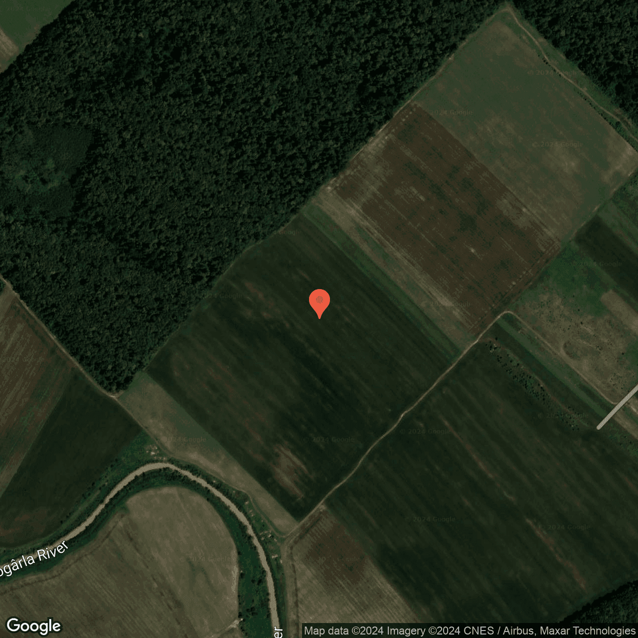 Poza harta hybrid, zoom 16, adresa Ulmi Giurgiu, , judetul