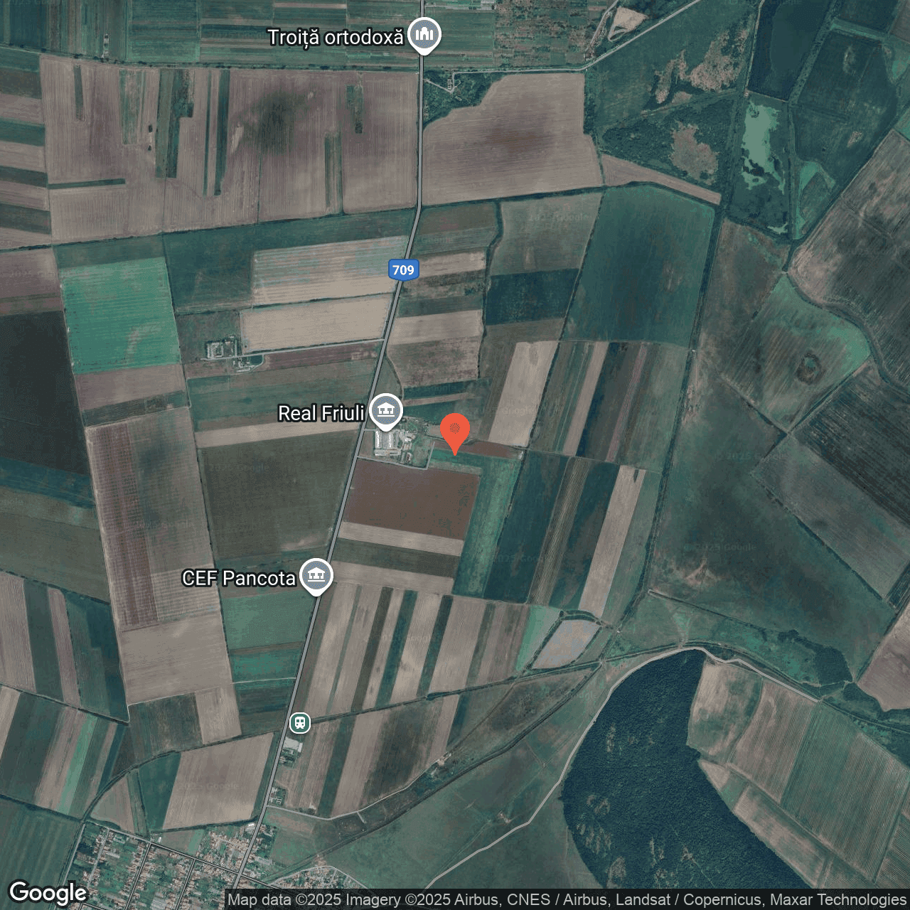 Poza harta hybrid, zoom 14, adresa Pancota Arad, , judetul