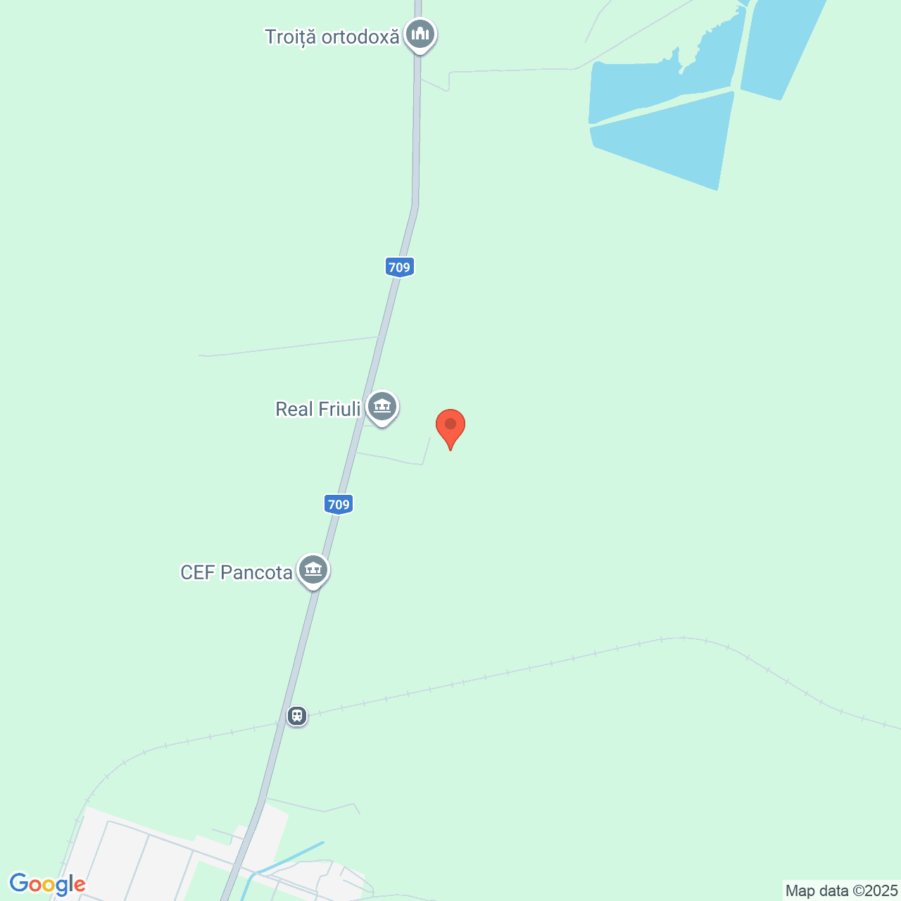 Poza harta streetview, zoom 14, adresa Pancota Arad, , judetul