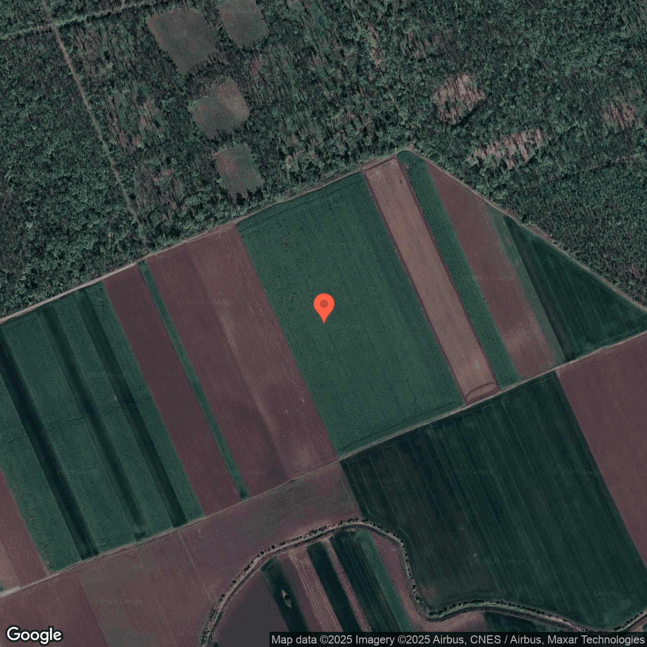 Poza harta hybrid, zoom 16, adresa Moara Vlasiei Ilfov, , judetul