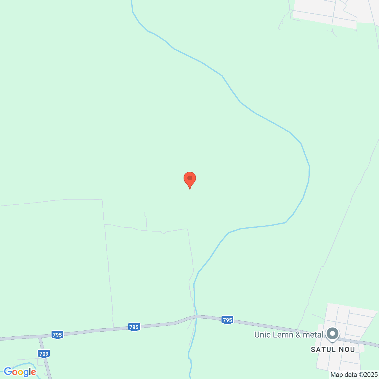 Poza harta streetview, zoom 14, adresa Salonta Bihor, , judetul