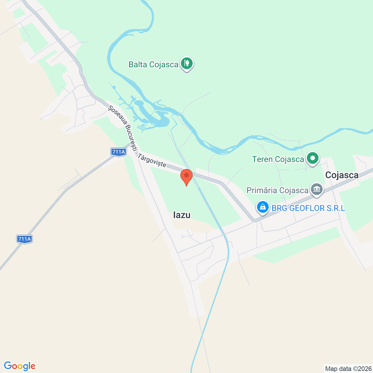 Poza harta streetview, zoom 14, adresa Cojasca Dambovita, , judetul