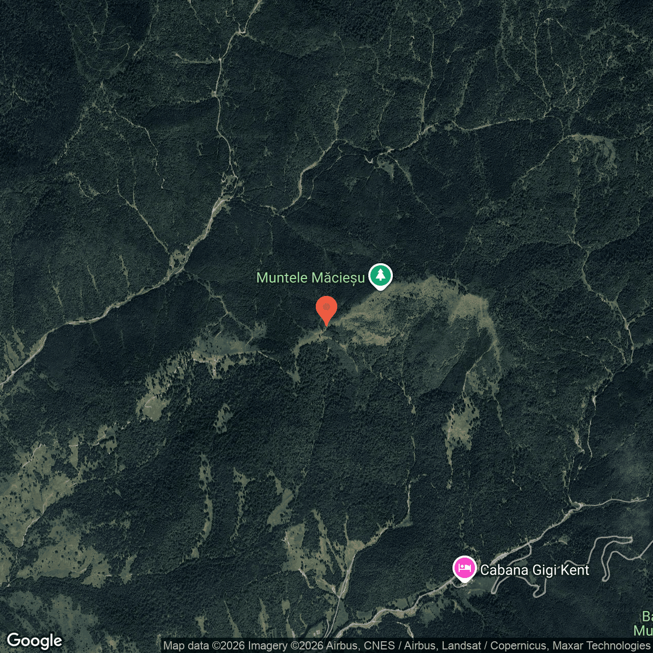 Poza harta hybrid, zoom 14, adresa Agas Bacau, , judetul