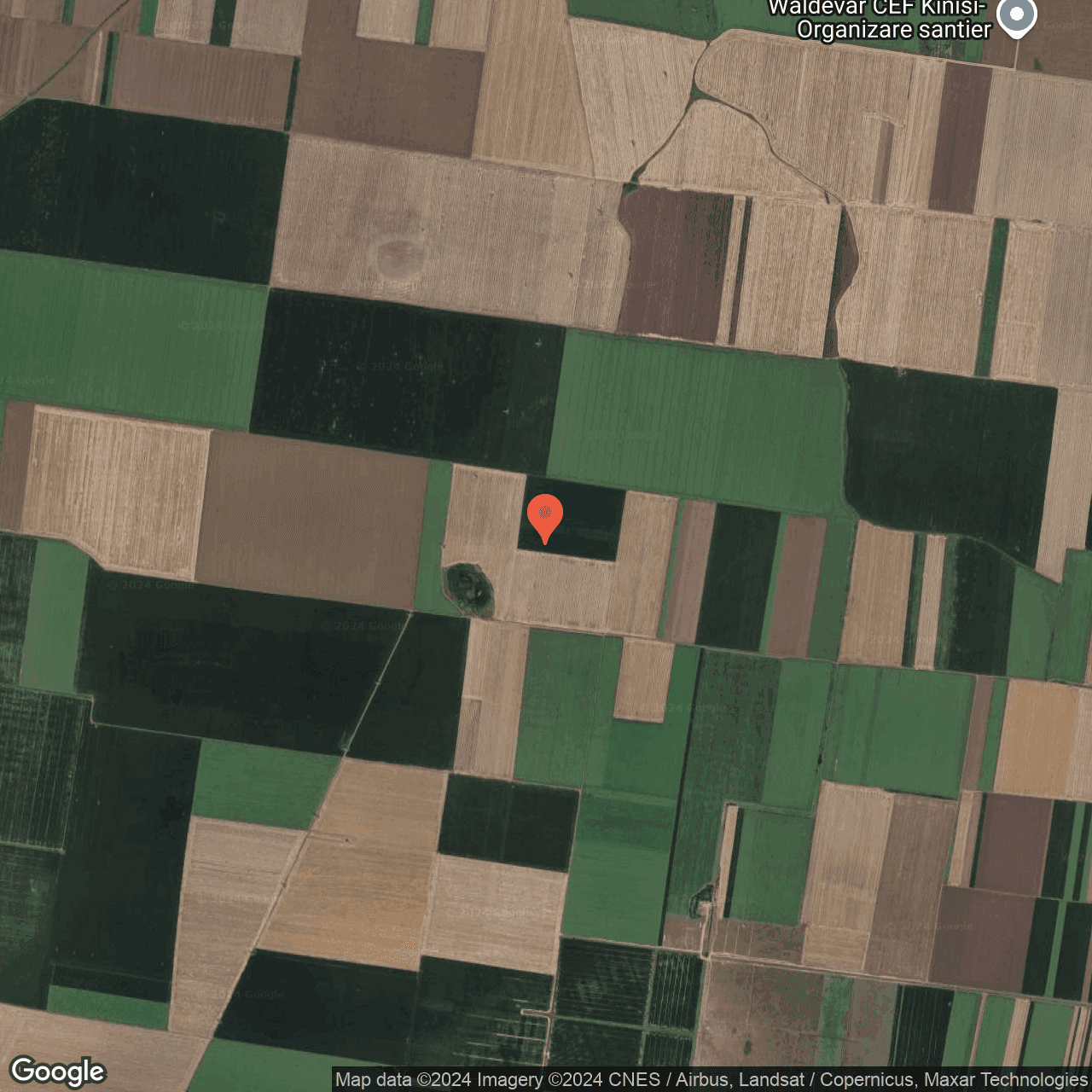 Poza harta hybrid, zoom 14, adresa Daia Giurgiu, , judetul