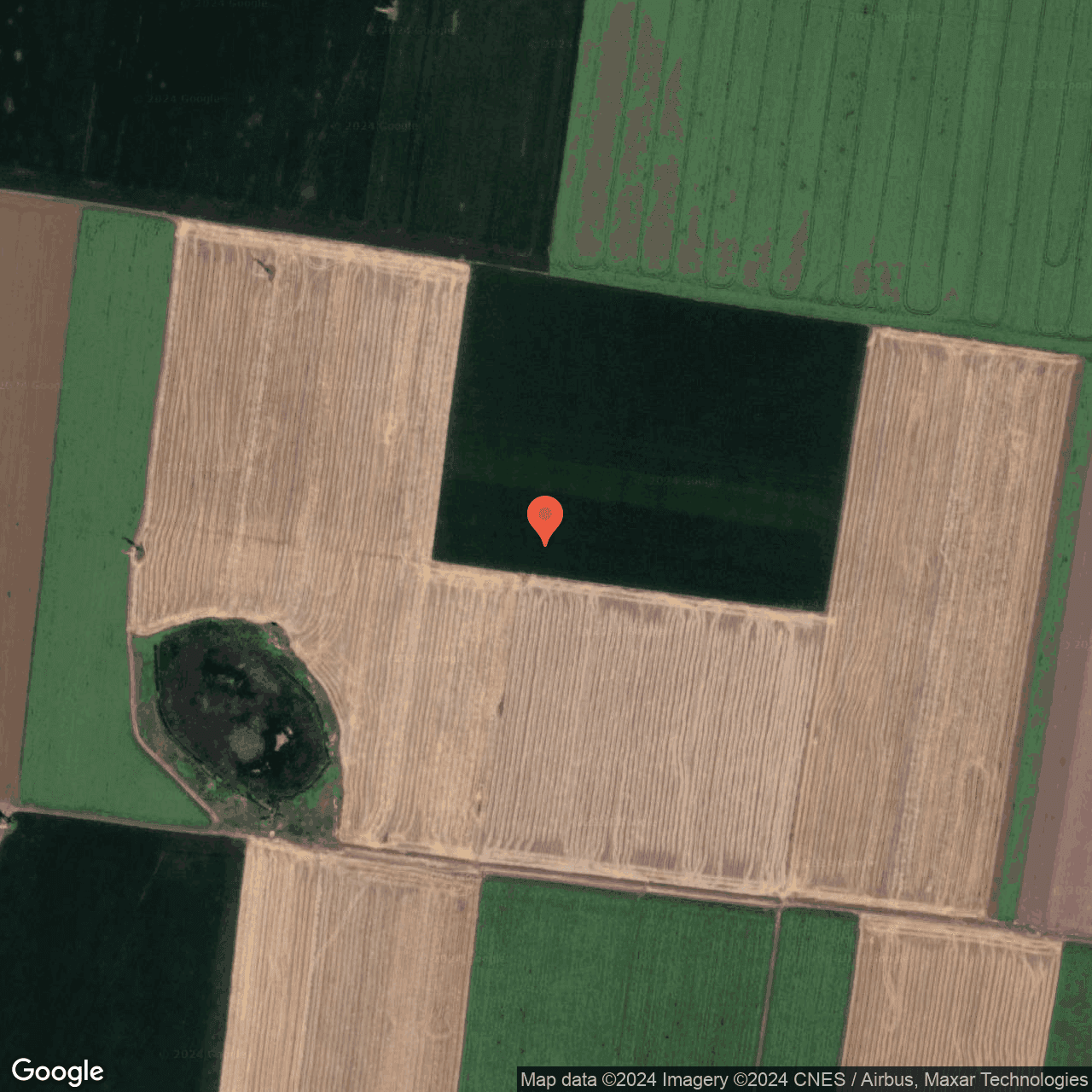 Poza harta hybrid, zoom 16, adresa Daia Giurgiu, , judetul