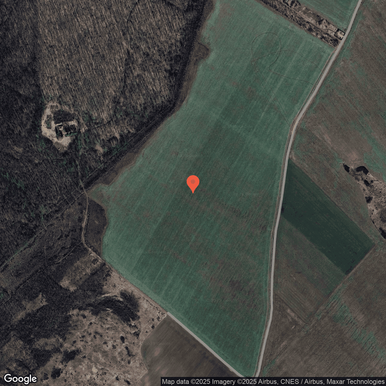 Poza harta hybrid, zoom 16, adresa Miroslava, jud.Iași, , judetul