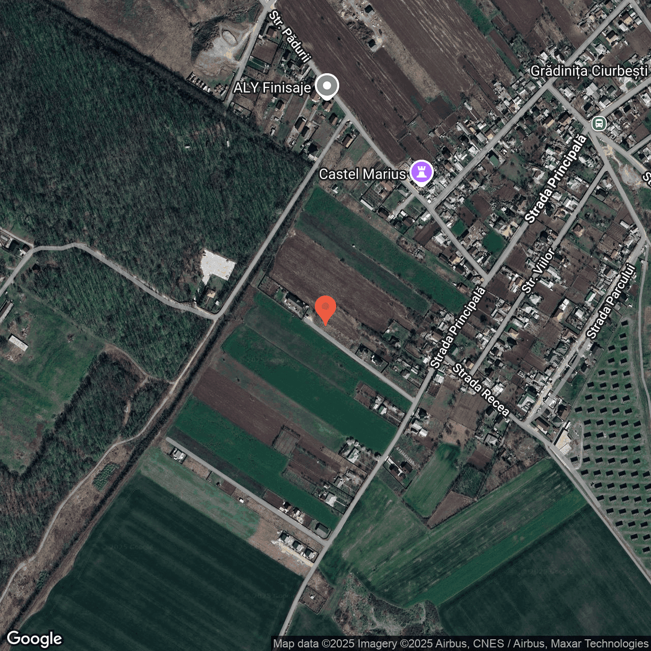 Poza harta hybrid, zoom 16, adresa Miroslava Iasi, , judetul