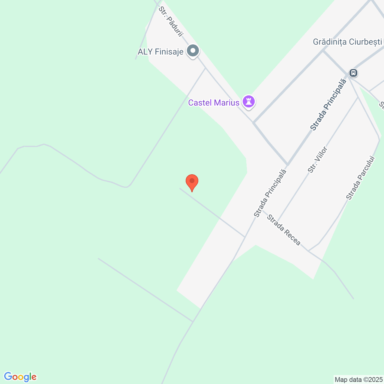 Poza harta streetview, zoom 16, adresa Miroslava Iasi, , judetul