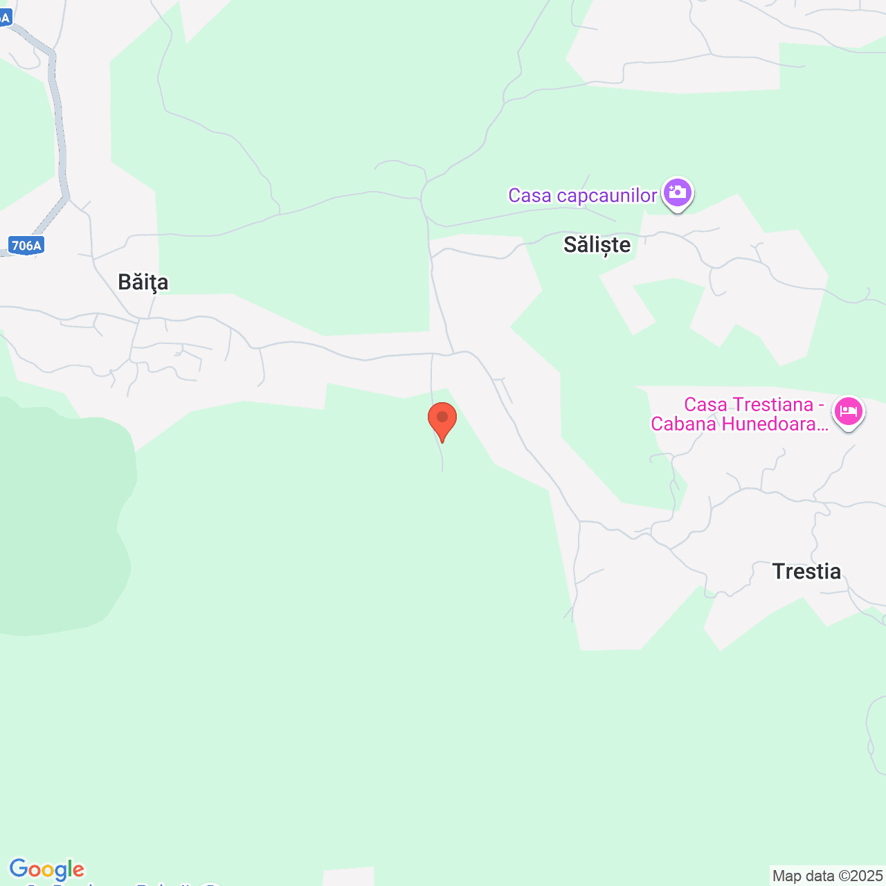 Poza harta streetview, zoom 14, adresa Baita Hunedoara, , judetul