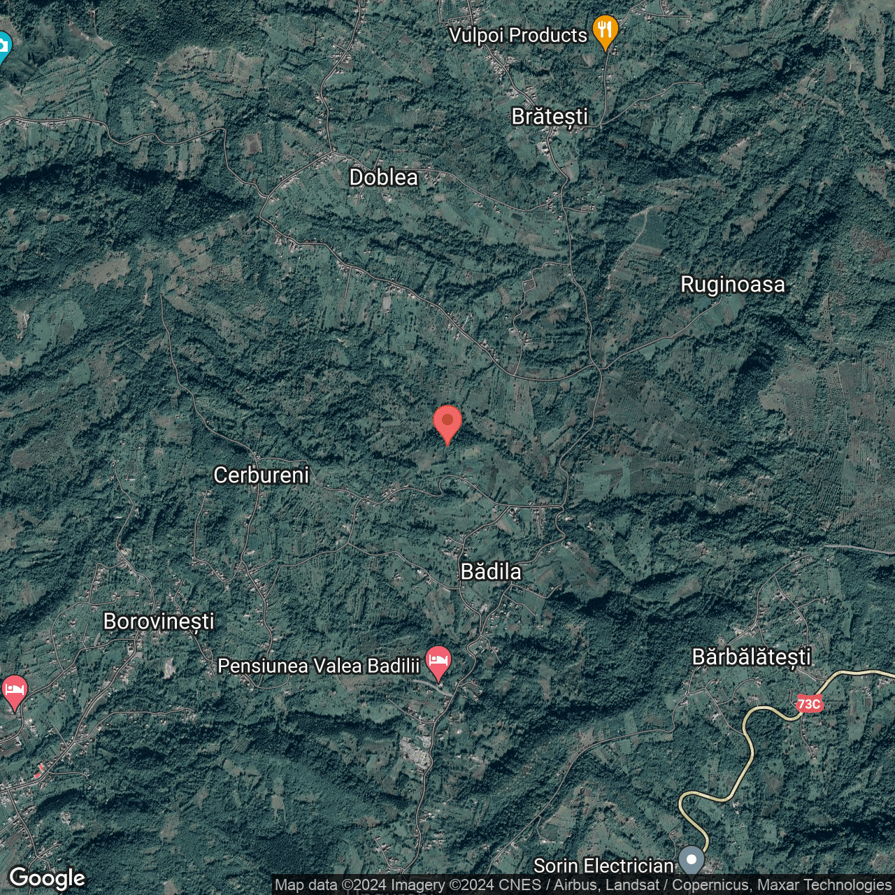 Poza harta hybrid, zoom 14, adresa Valea Iasului, sat Borovinesti, , judetul