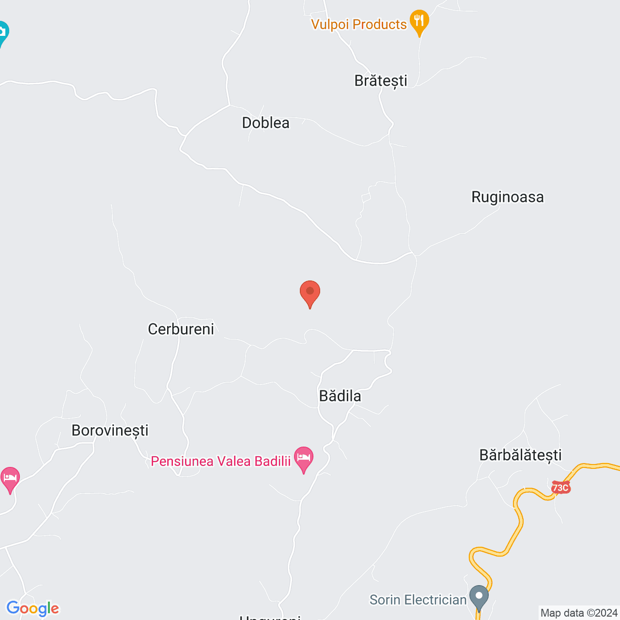 Poza harta streetview, zoom 14, adresa Valea Iasului, sat Borovinesti, , judetul
