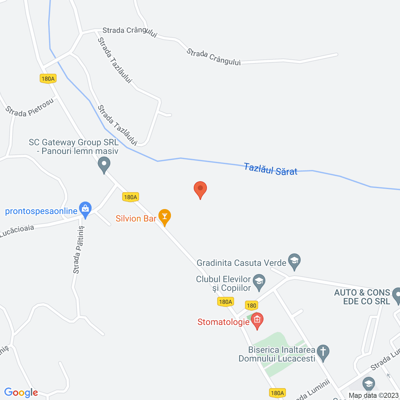 Poza harta streetview, zoom 16, adresa Moinesti, , judetul