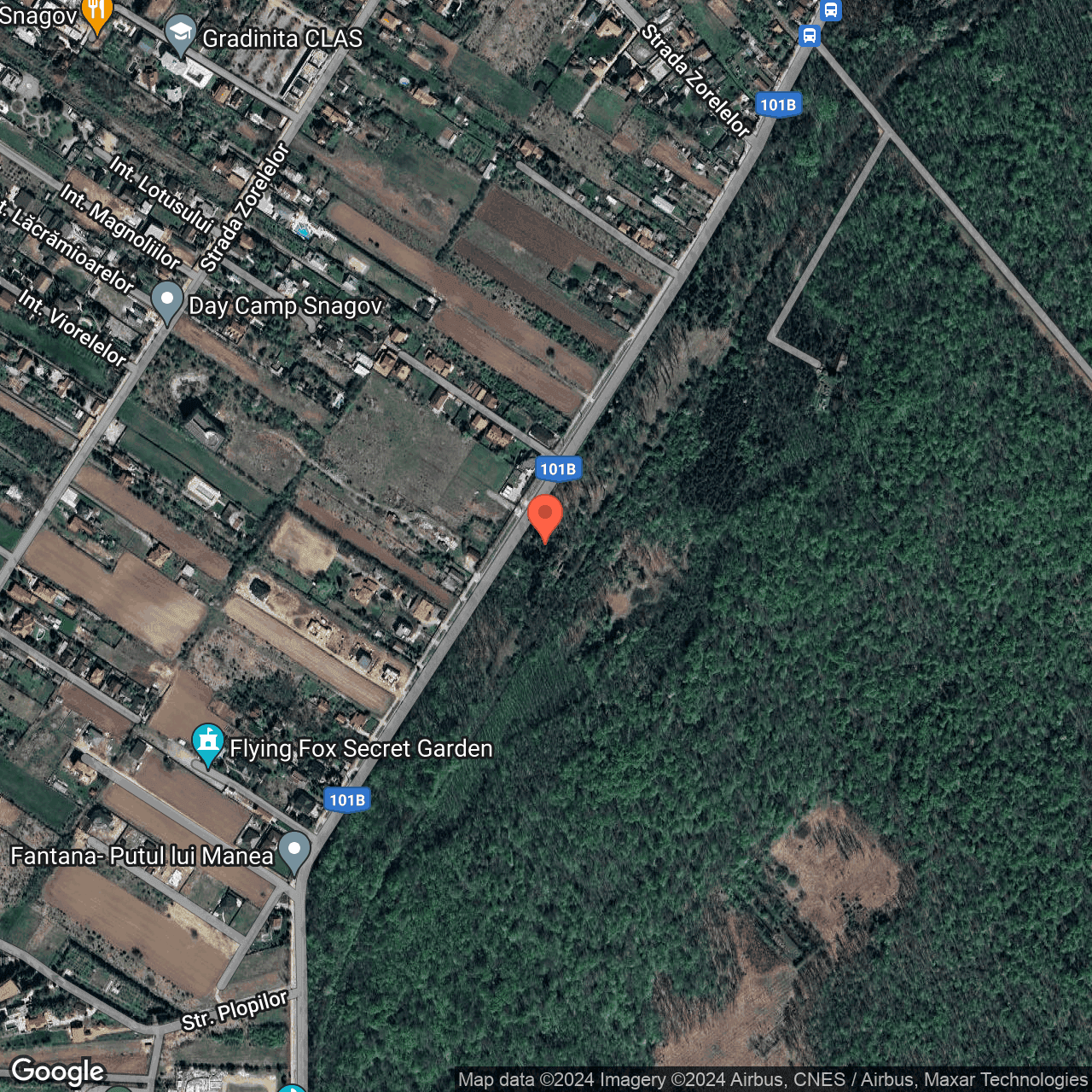 Poza harta hybrid, zoom 16, adresa Snagov, , judetul