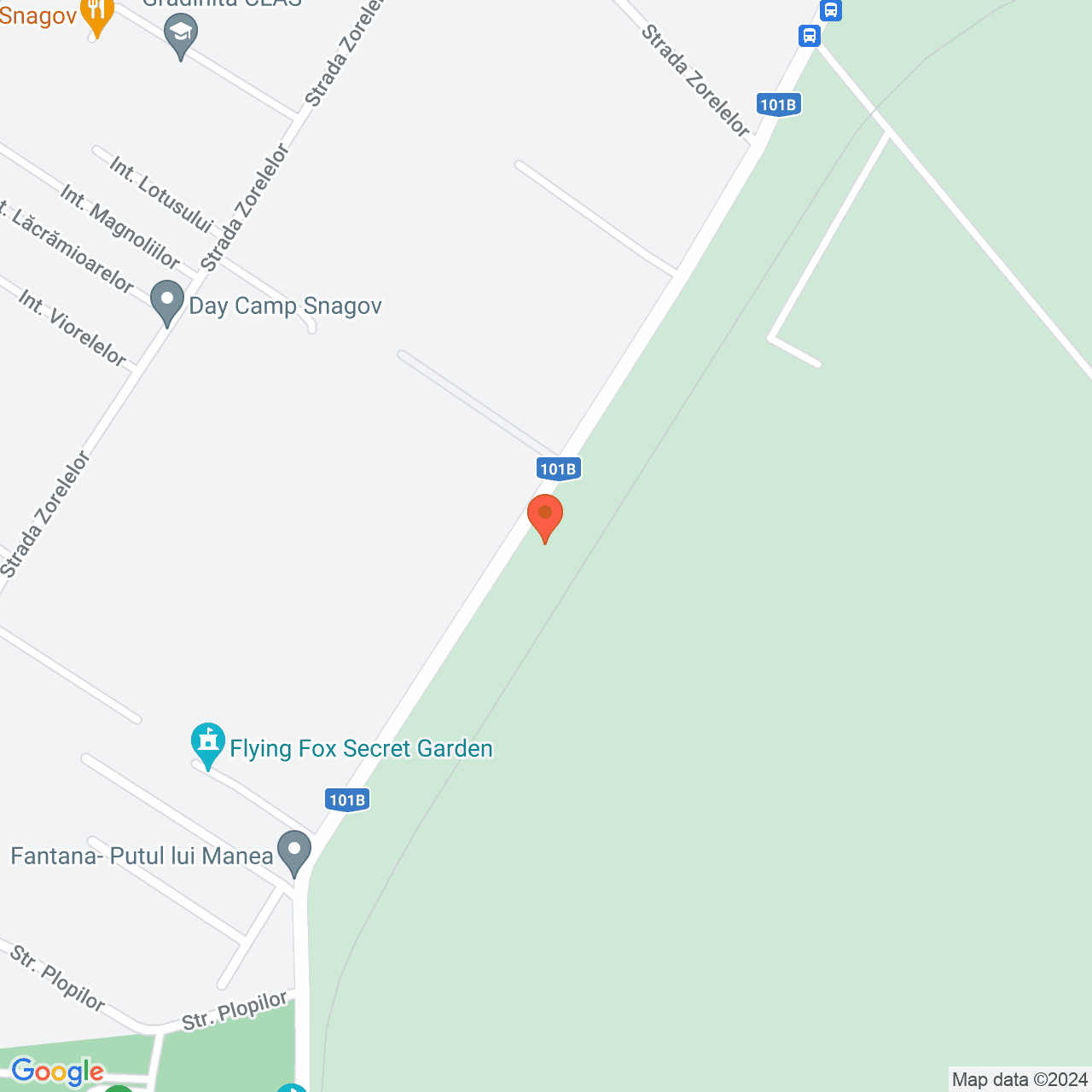 Poza harta streetview, zoom 16, adresa Snagov, , judetul