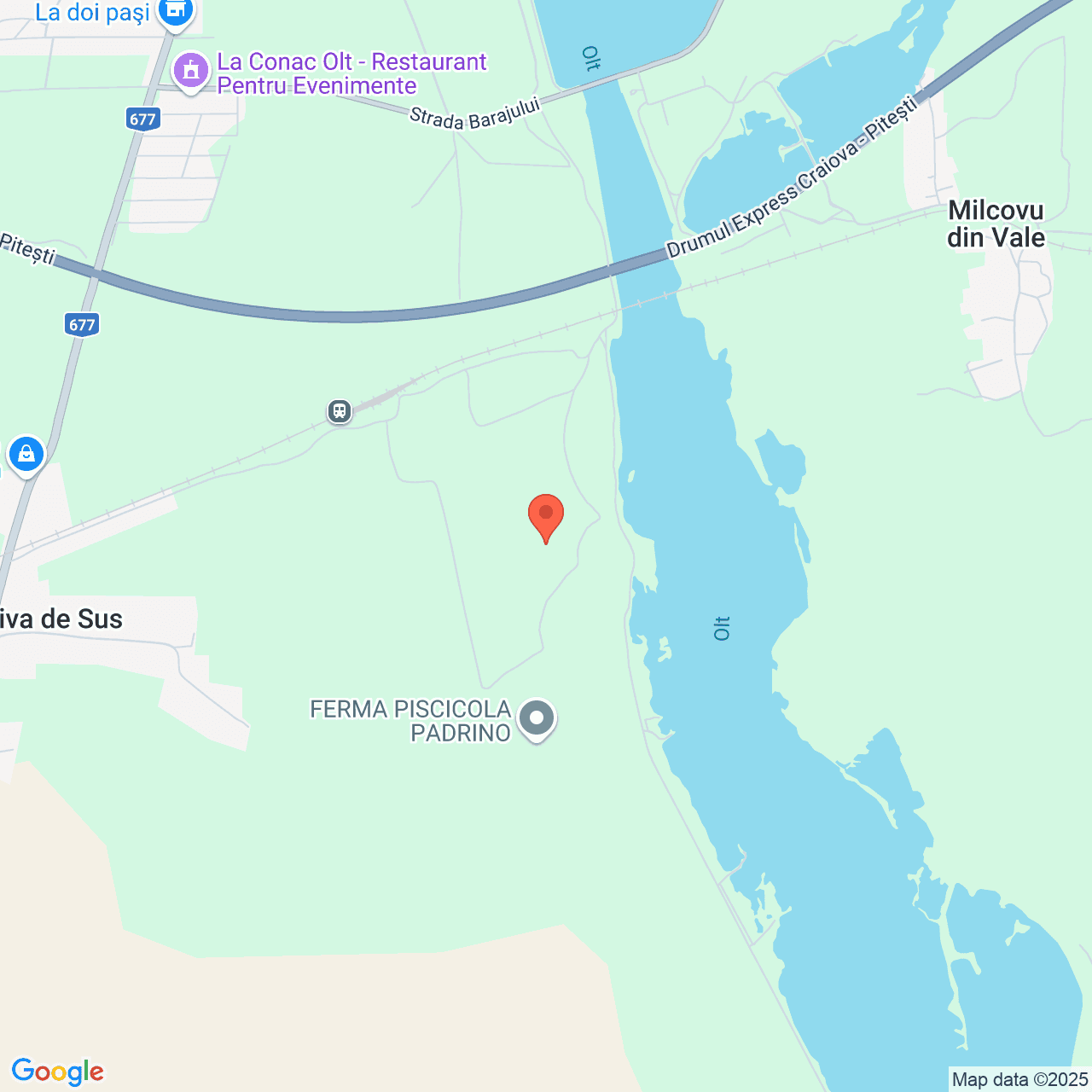 Poza harta streetview, zoom 14, adresa Piatra Olt Olt, , judetul
