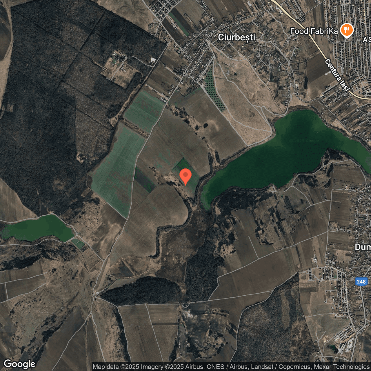 Poza harta hybrid, zoom 14, adresa Miroslava Iasi, , judetul