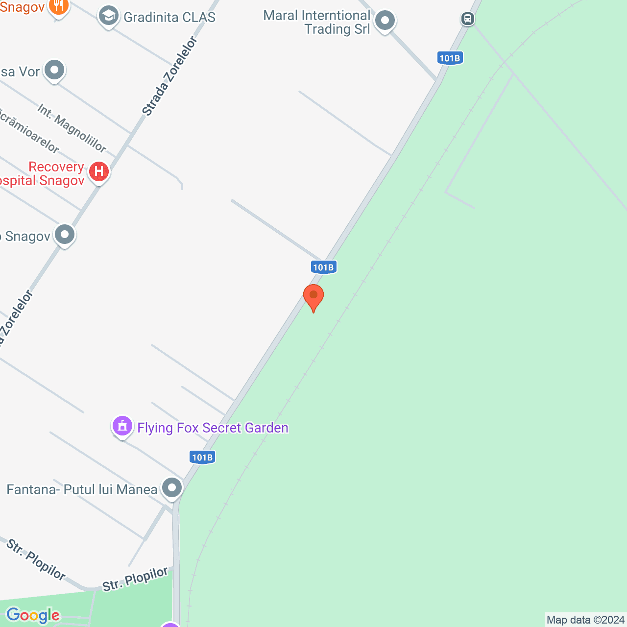 Poza harta streetview, zoom 16, adresa Snagov Ilfov, , judetul