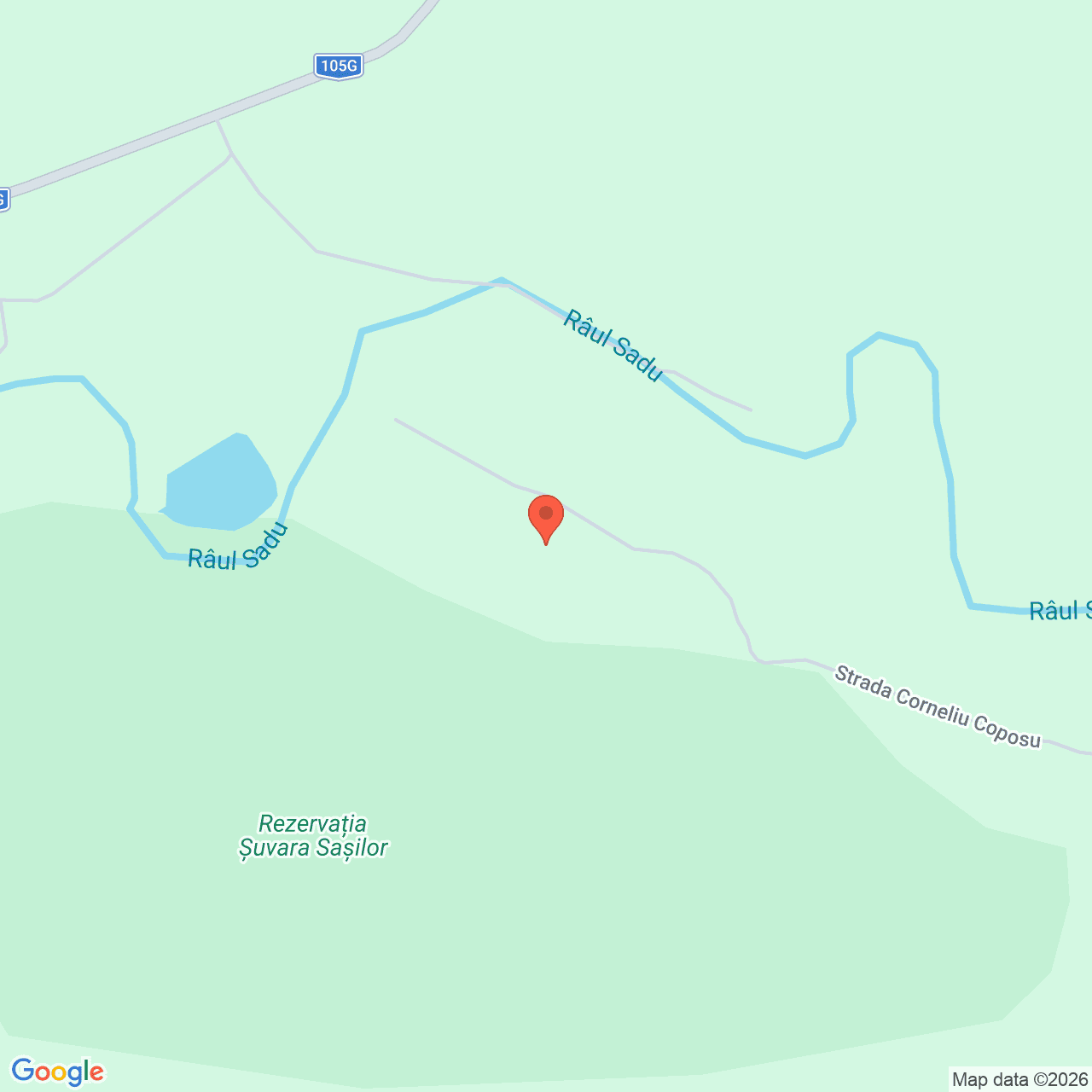 Poza harta streetview, zoom 16, adresa Talmaciu, , judetul