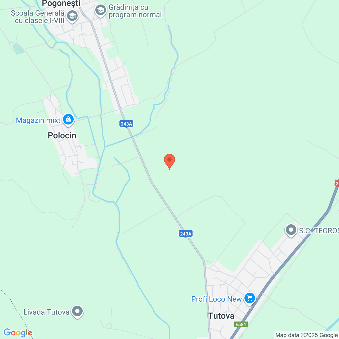 Poza harta streetview, zoom 14, adresa Tutiva Vaslui, , judetul