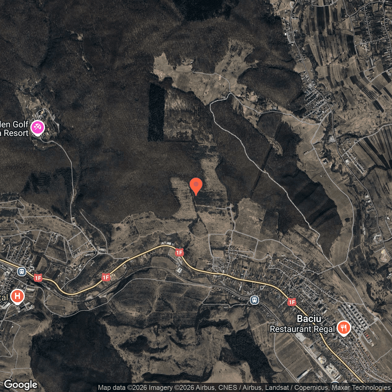 Poza harta hybrid, zoom 14, adresa Baciu Cluj, , judetul