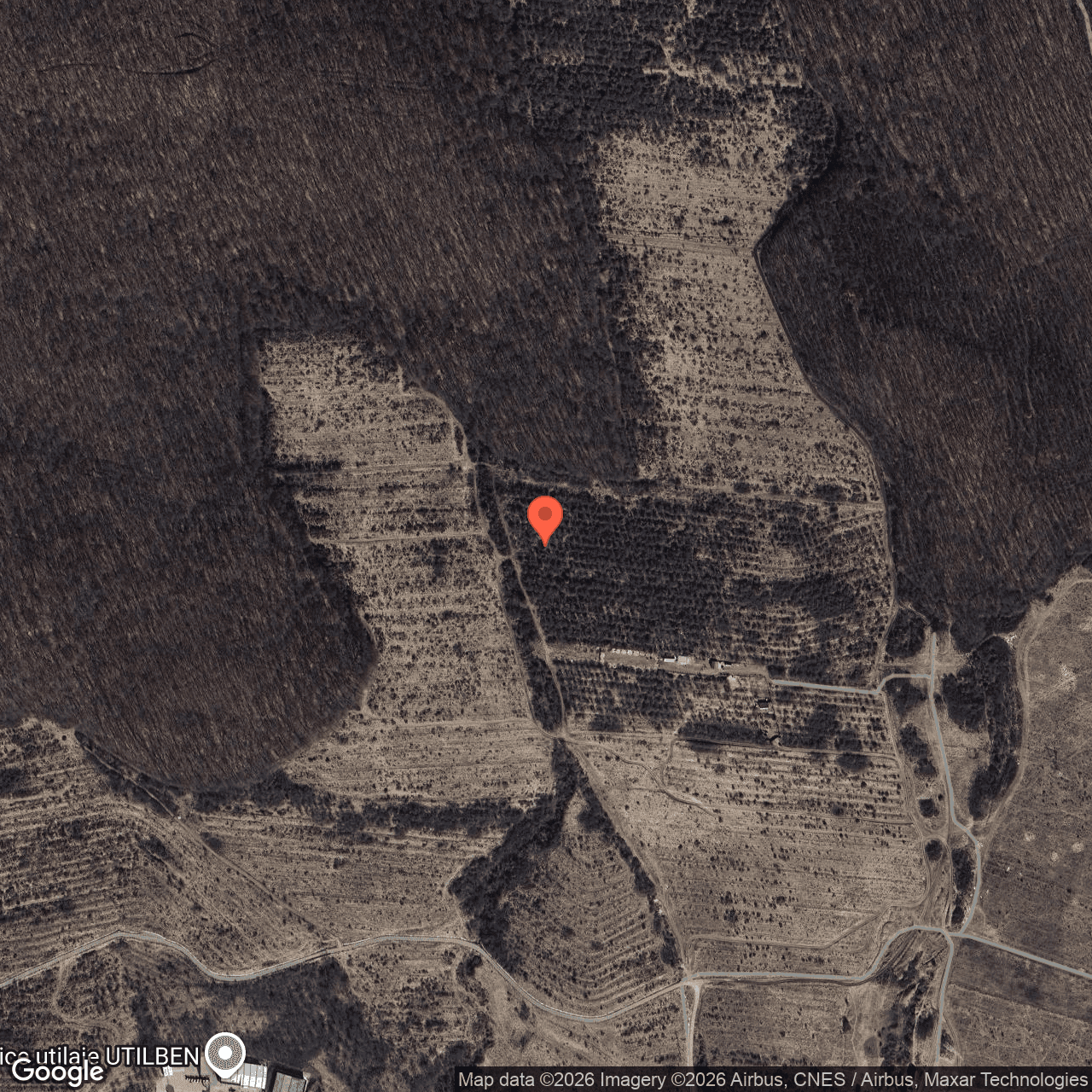 Poza harta hybrid, zoom 16, adresa Baciu Cluj, , judetul