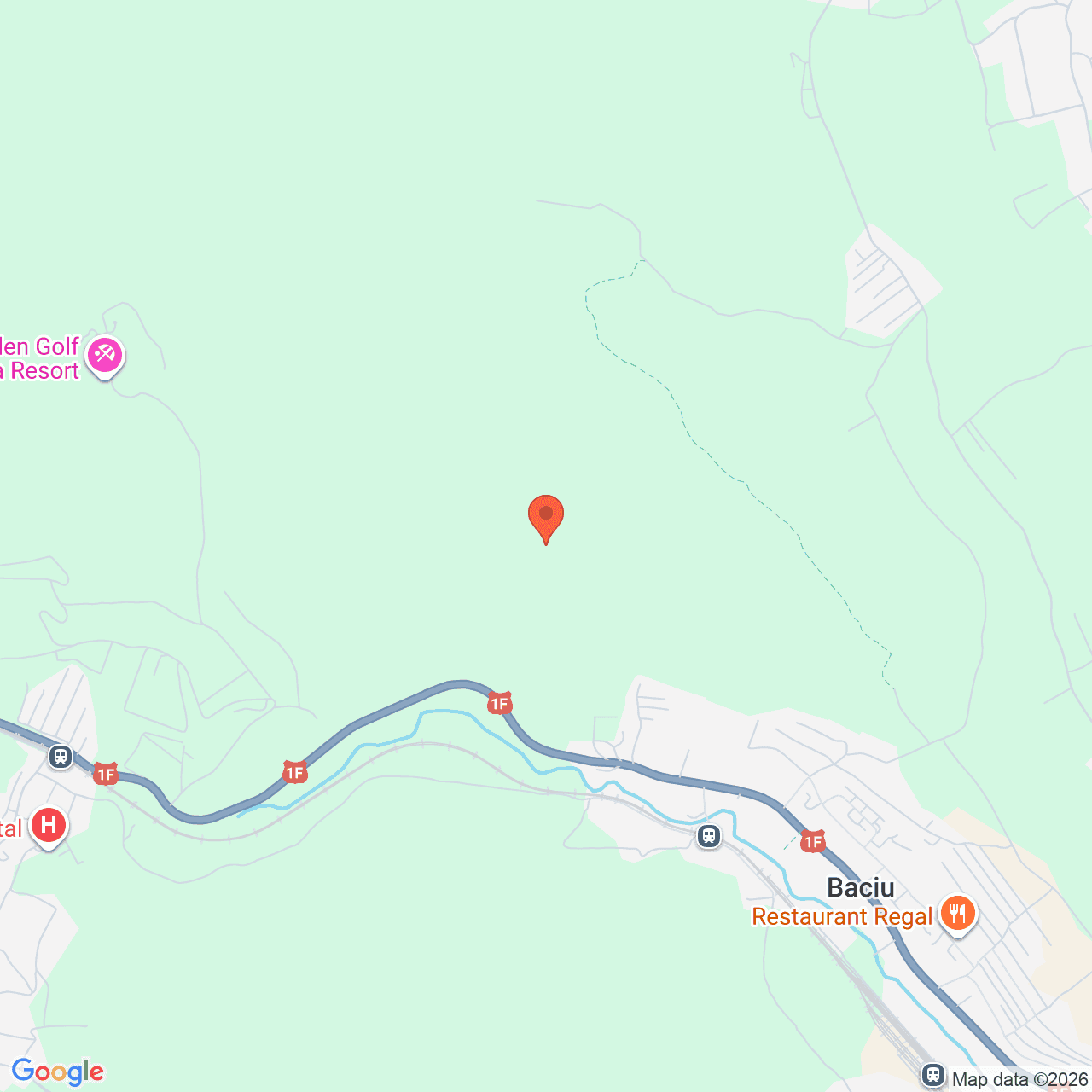 Poza harta streetview, zoom 14, adresa Baciu Cluj, , judetul