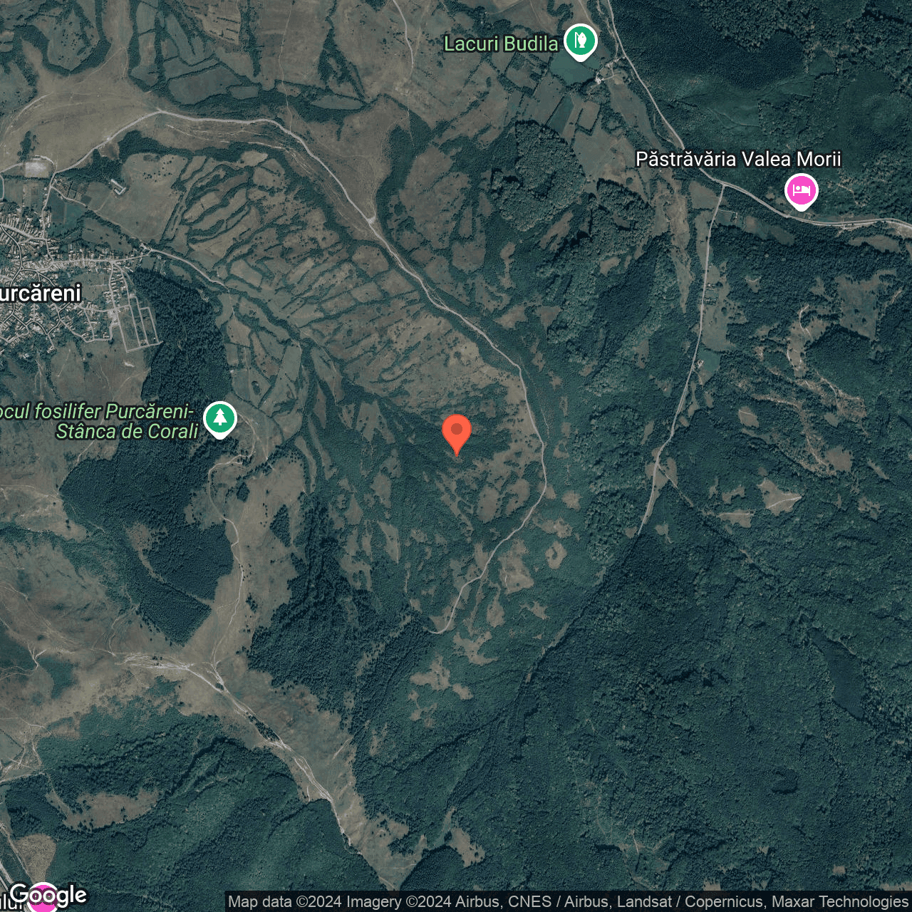 Poza harta hybrid, zoom 14, adresa Tarlungeni Brasov, , judetul