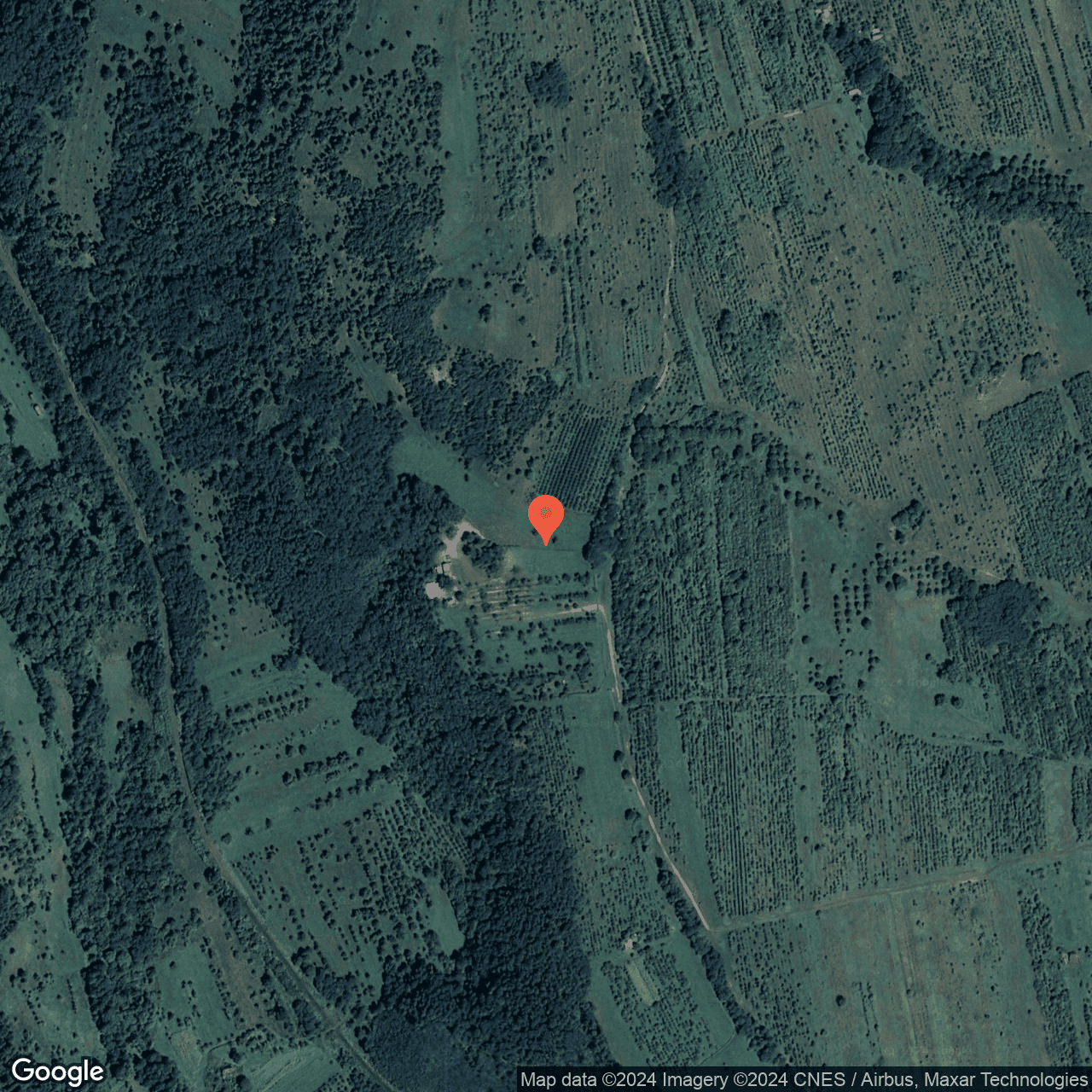 Poza harta hybrid, zoom 16, adresa Domasnea Caras Severin, , judetul